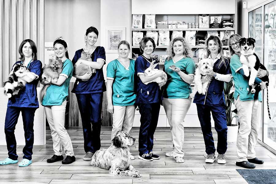 Clinique Vétérinaire BIO'VET Seignanx