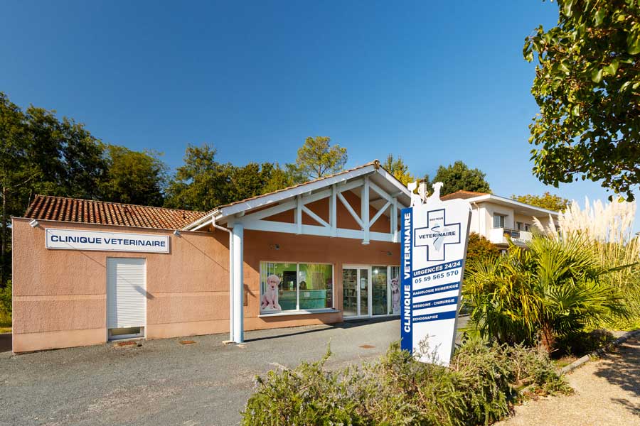 Clinique Vétérinaire BIO'VET St-Martin-de-Seignanx